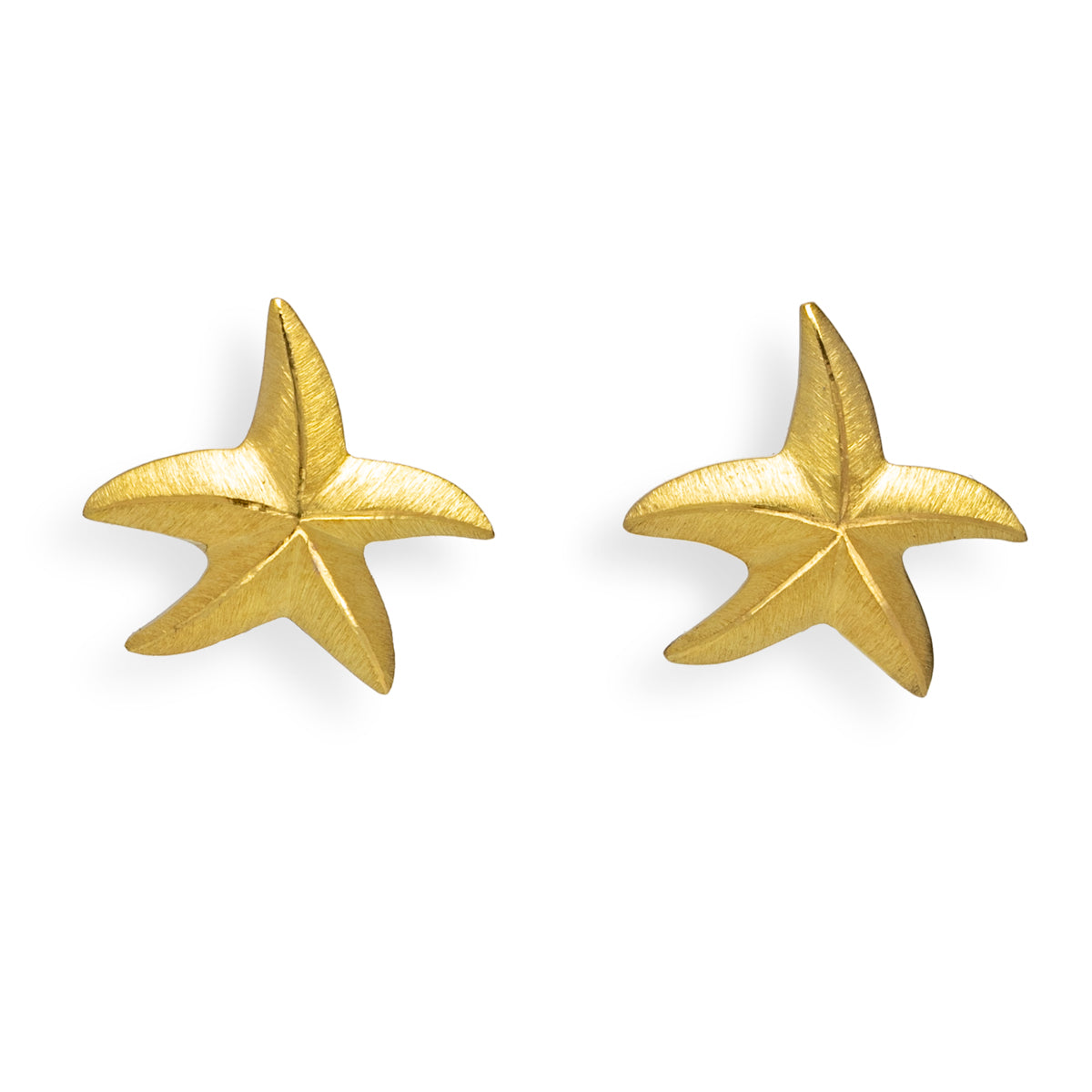 Small Starfish Earrings